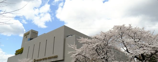 ベリーノホテルの桜の写真
